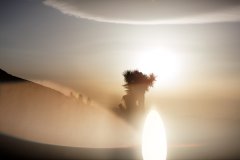 Nature #13 by Nicolas Jandrain