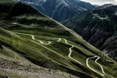 Nature #23 by Nicolas Jandrain