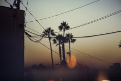 Venice Beach #9 by Nicolas Jandrain