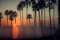 California #14 by Nicolas Jandrain