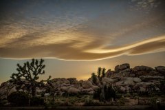 Nature #4 by Nicolas Jandrain