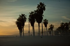 Venice Beach #12 by Nicolas Jandrain