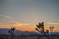 Nature #29 by Nicolas Jandrain