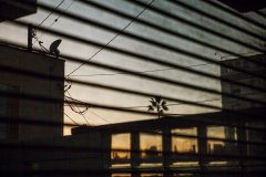 California #15 by Nicolas Jandrain