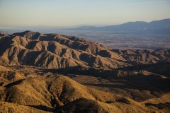 Nature #20 by Nicolas Jandrain