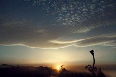 Nature #19 by Nicolas Jandrain