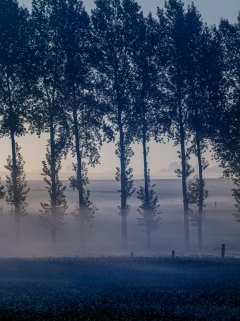 Latest & Overview #26 by Nicolas Jandrain