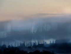 Latest & Overview #29 by Nicolas Jandrain