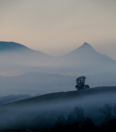 Latest & Overview #9 by Nicolas Jandrain