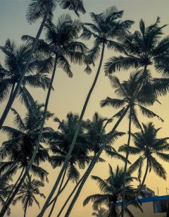 Latest & Overview #25 by Nicolas Jandrain