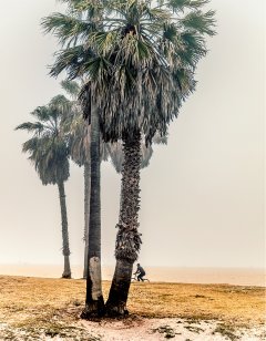 Latest & Overview #16 by Nicolas Jandrain