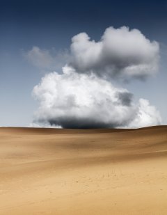 Nature #3 by Nicolas Jandrain