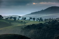 Nature #24 by Nicolas Jandrain