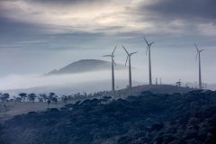 Nature #6 by Nicolas Jandrain