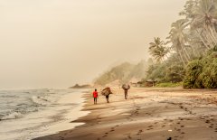 Nature #23 by Nicolas Jandrain