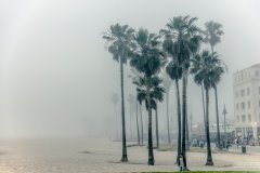 Venice Beach #6 by Nicolas Jandrain