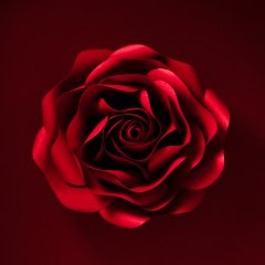 Stilllife #16 by Nicolas Jandrain