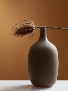 Stilllife #8 by Nicolas Jandrain