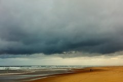 Nature #15 by Nicolas Jandrain