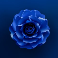 Latest & Overview #10 by Nicolas Jandrain