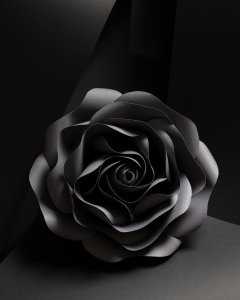 Stilllife #6 by Nicolas Jandrain