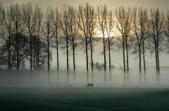 Nature #16 by Nicolas Jandrain