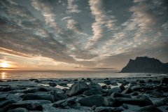 Nature #34 by Nicolas Jandrain