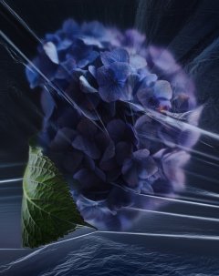 Stilllife #2 by Nicolas Jandrain