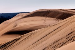 Nature photo gallery by Nicolas Jandrain