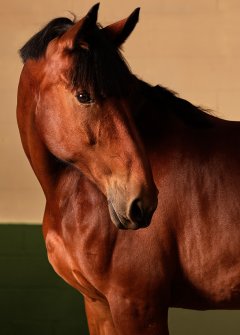 Latest & Overview #1 by Nicolas Jandrain