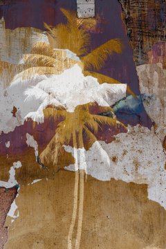 Palmtrees #6 by Nicolas Jandrain