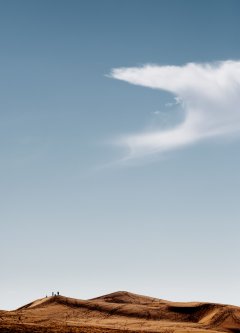 Nature #9 by Nicolas Jandrain