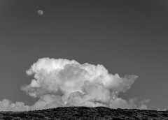 Nature #12 by Nicolas Jandrain