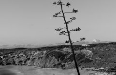 Nature #22 by Nicolas Jandrain